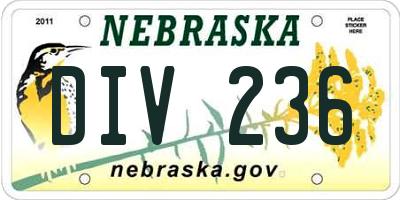 NE license plate DIV236