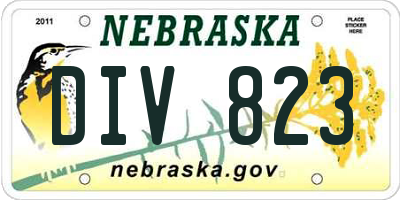 NE license plate DIV823