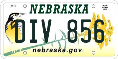 NE license plate DIV856