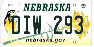 NE license plate DIW293