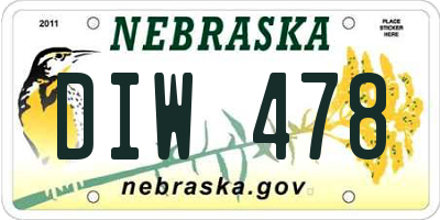 NE license plate DIW478