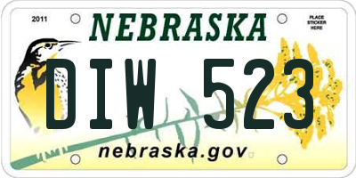 NE license plate DIW523