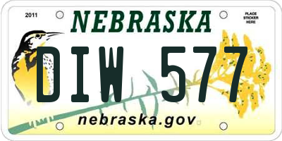 NE license plate DIW577