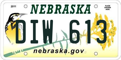 NE license plate DIW613
