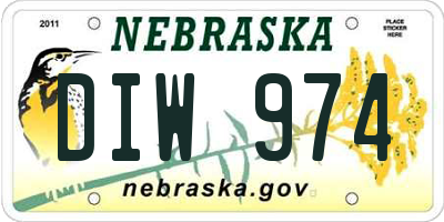 NE license plate DIW974