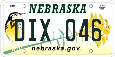 NE license plate DIX046