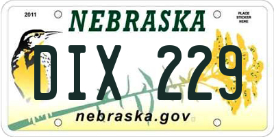 NE license plate DIX229