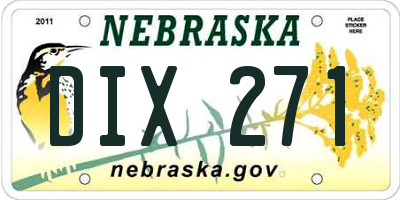 NE license plate DIX271