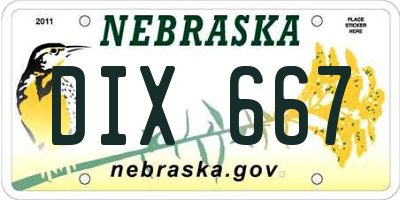 NE license plate DIX667