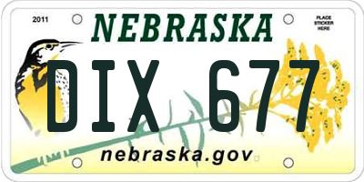 NE license plate DIX677