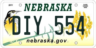 NE license plate DIY554
