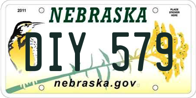 NE license plate DIY579
