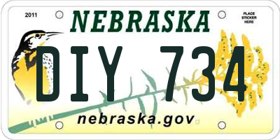 NE license plate DIY734