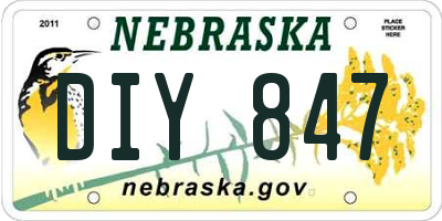 NE license plate DIY847