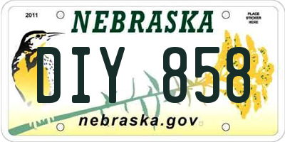 NE license plate DIY858
