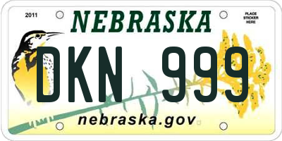 NE license plate DKN999