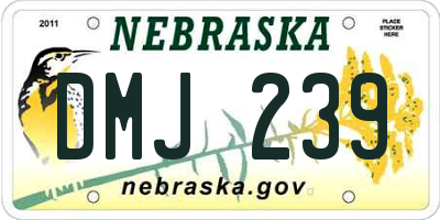 NE license plate DMJ239