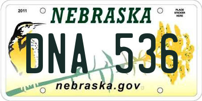 NE license plate DNA536