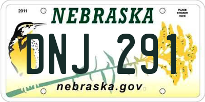 NE license plate DNJ291