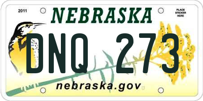 NE license plate DNQ273