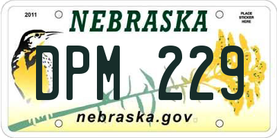 NE license plate DPM229