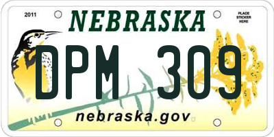 NE license plate DPM309