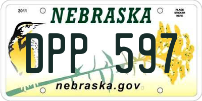 NE license plate DPP597