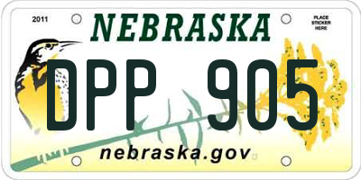 NE license plate DPP905