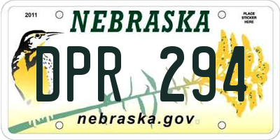 NE license plate DPR294