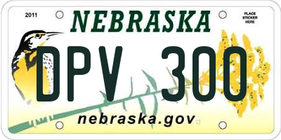 NE license plate DPV300