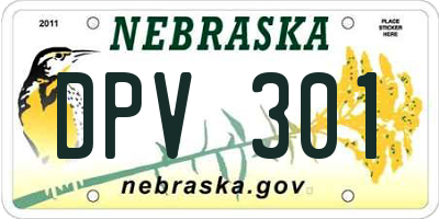 NE license plate DPV301