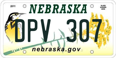 NE license plate DPV307