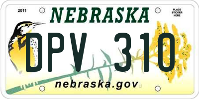 NE license plate DPV310