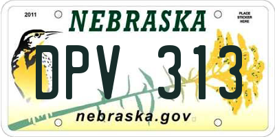NE license plate DPV313