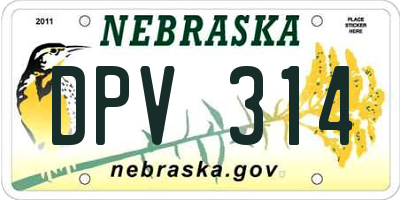NE license plate DPV314