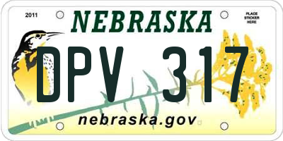 NE license plate DPV317