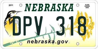 NE license plate DPV318