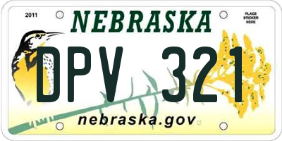 NE license plate DPV321