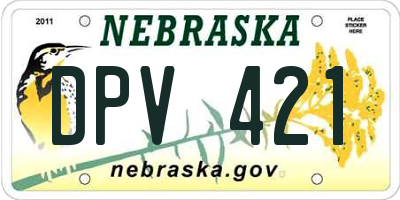 NE license plate DPV421