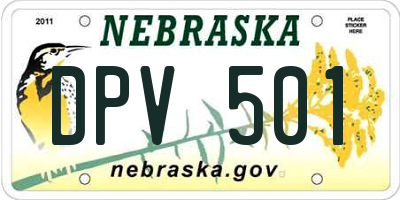 NE license plate DPV501
