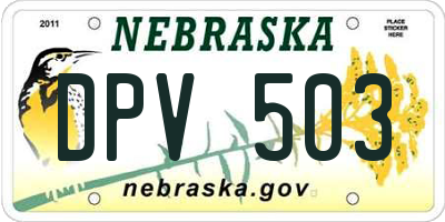 NE license plate DPV503