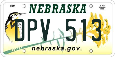NE license plate DPV513