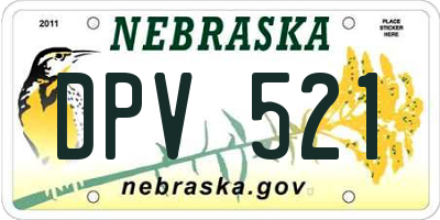 NE license plate DPV521