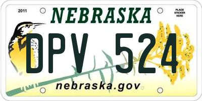 NE license plate DPV524
