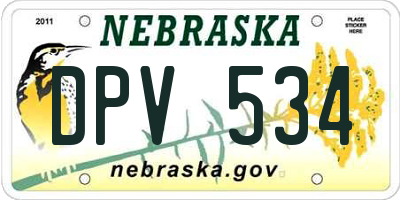 NE license plate DPV534