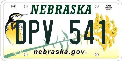 NE license plate DPV541