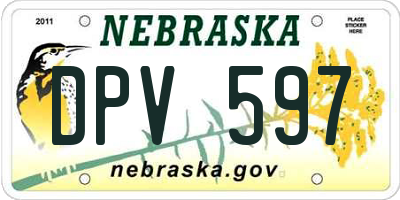 NE license plate DPV597