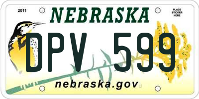 NE license plate DPV599