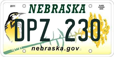 NE license plate DPZ230