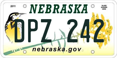 NE license plate DPZ242